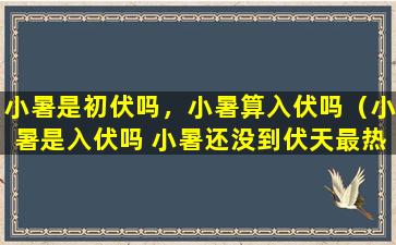 小暑是初伏吗，小暑算入伏吗（小暑是入伏吗 小暑还没到伏天最热的时候）